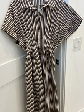 NWT Anthropologie Exquise Tobie midi dress Neutral tones size M READ